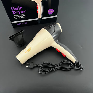 GW hair dryer